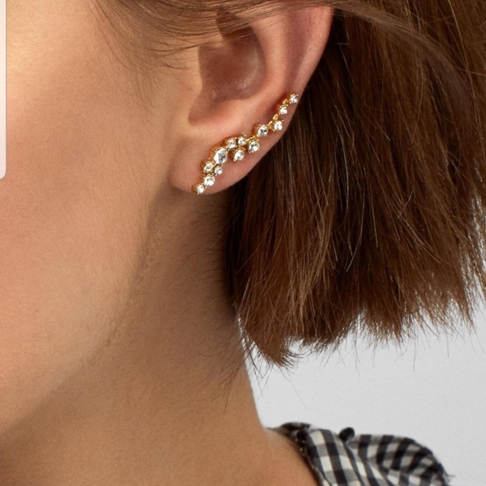BaubleBar crawler earrings - Picture 1 of 5